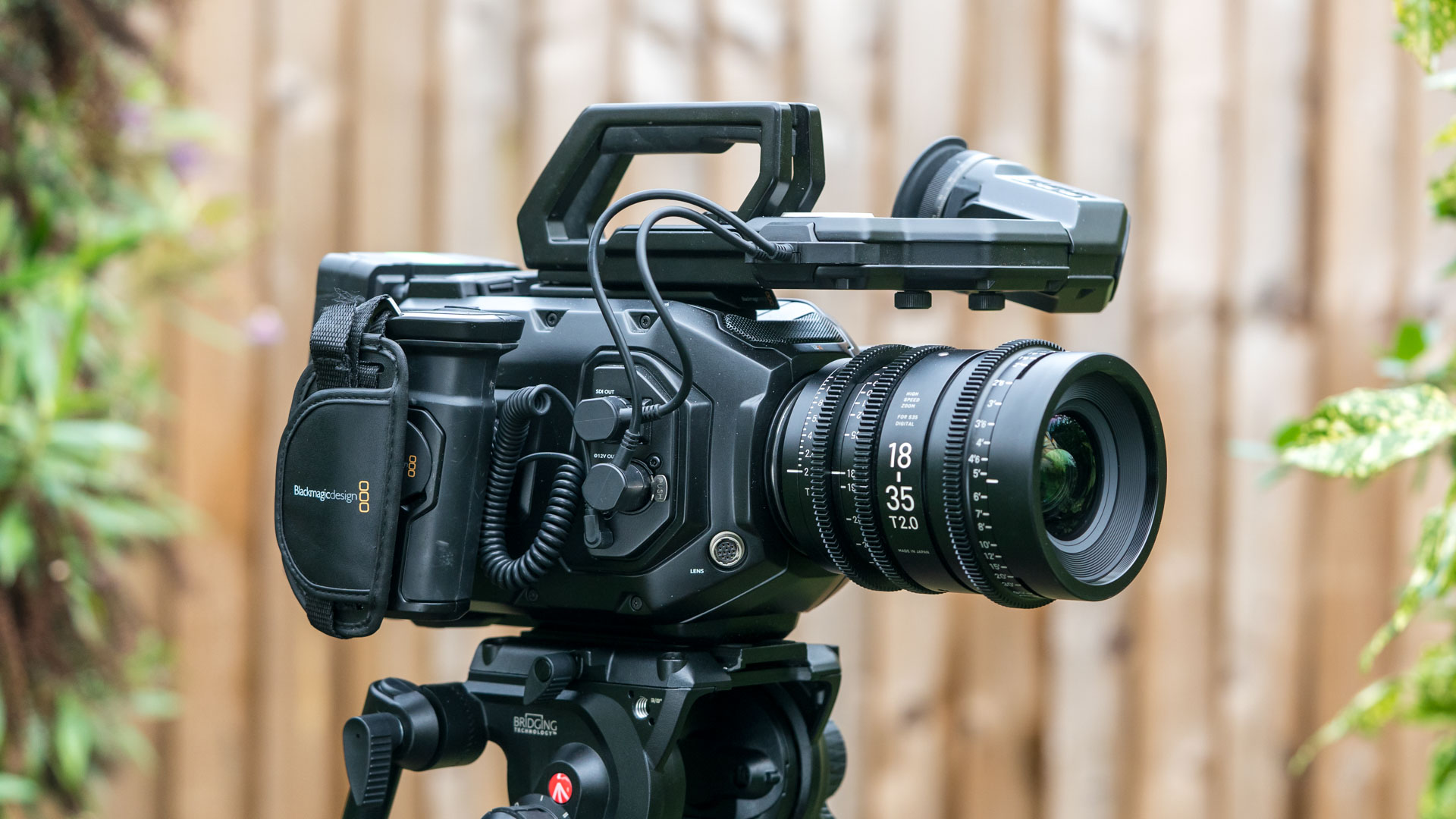 Камера Nikon Z9: модели 8K и 6K для видео 2026 | DGL.RU