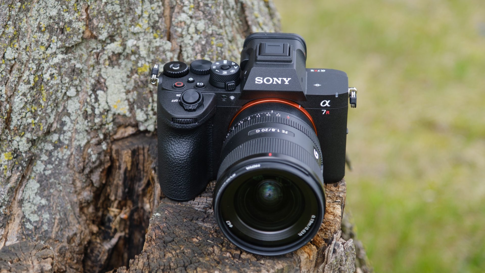Лучшая камера Sony в 2026 году для видеоблогинга, киносъемки и фото картинка Камеры Sony: какую модель выбрать в 2026 году | DGL.RU