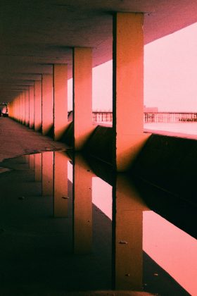 Лучшая фотопленка в 2026 году: гид по выбору | DGL.RU