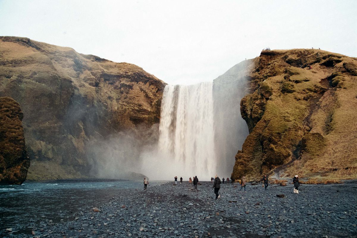 Лучшие 35-мм, рулонные и листовые фотопленки 2026 года картинка Лучшая 35-mm фотопленка 2026: топ моделей | DGL.RU