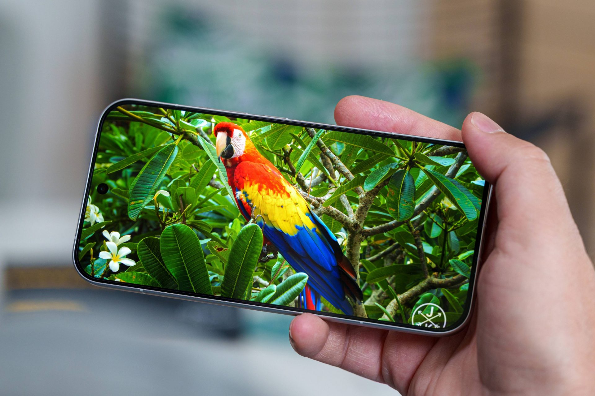 Смартфон Poco F9 Pro поступил на первые тесты: характеристики и цены картинка Смартфон Poco F9 Pro: характеристики и экран | DGL.RU