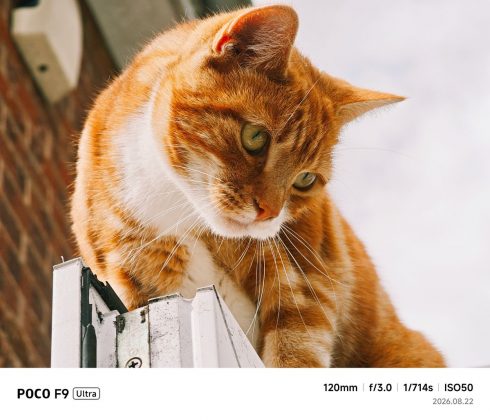 Смартфон Poco F9 Ultra: 100 Вт и батарея 8050 мАч | DGL.RU