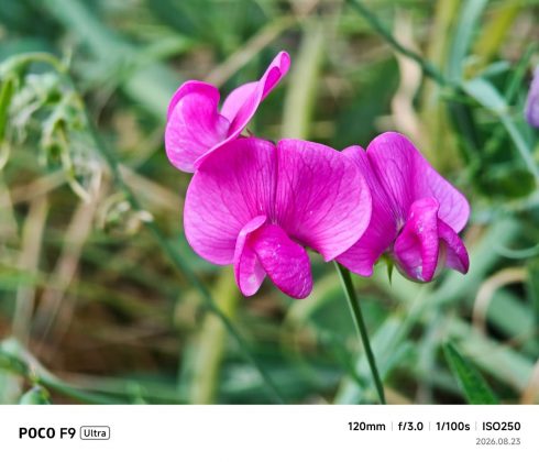 Смартфон Poco F9 Ultra: 100 Вт и батарея 8050 мАч | DGL.RU