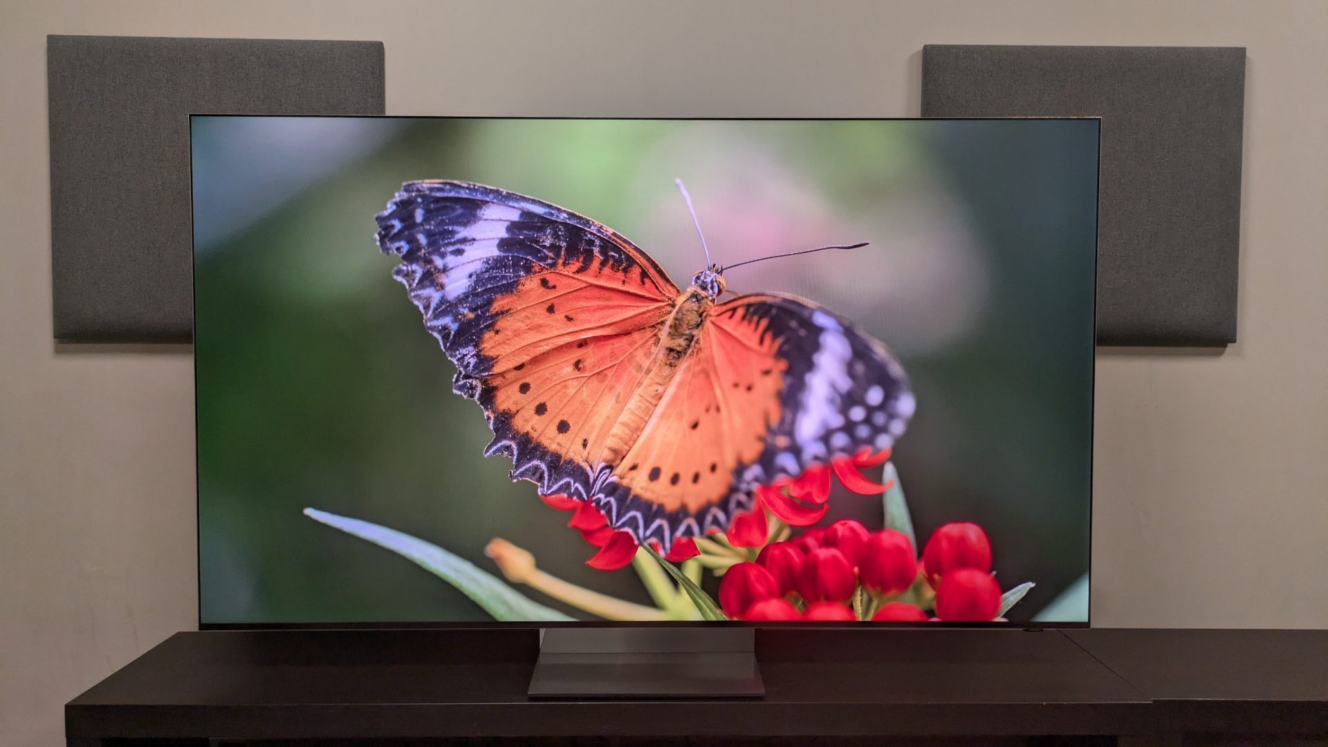 Обзор Samsung R95H — демонстрирует огромный потенциал RGB картинка Телевизор Samsung R95H: обзор Micro RGB для игр | DGL.RU