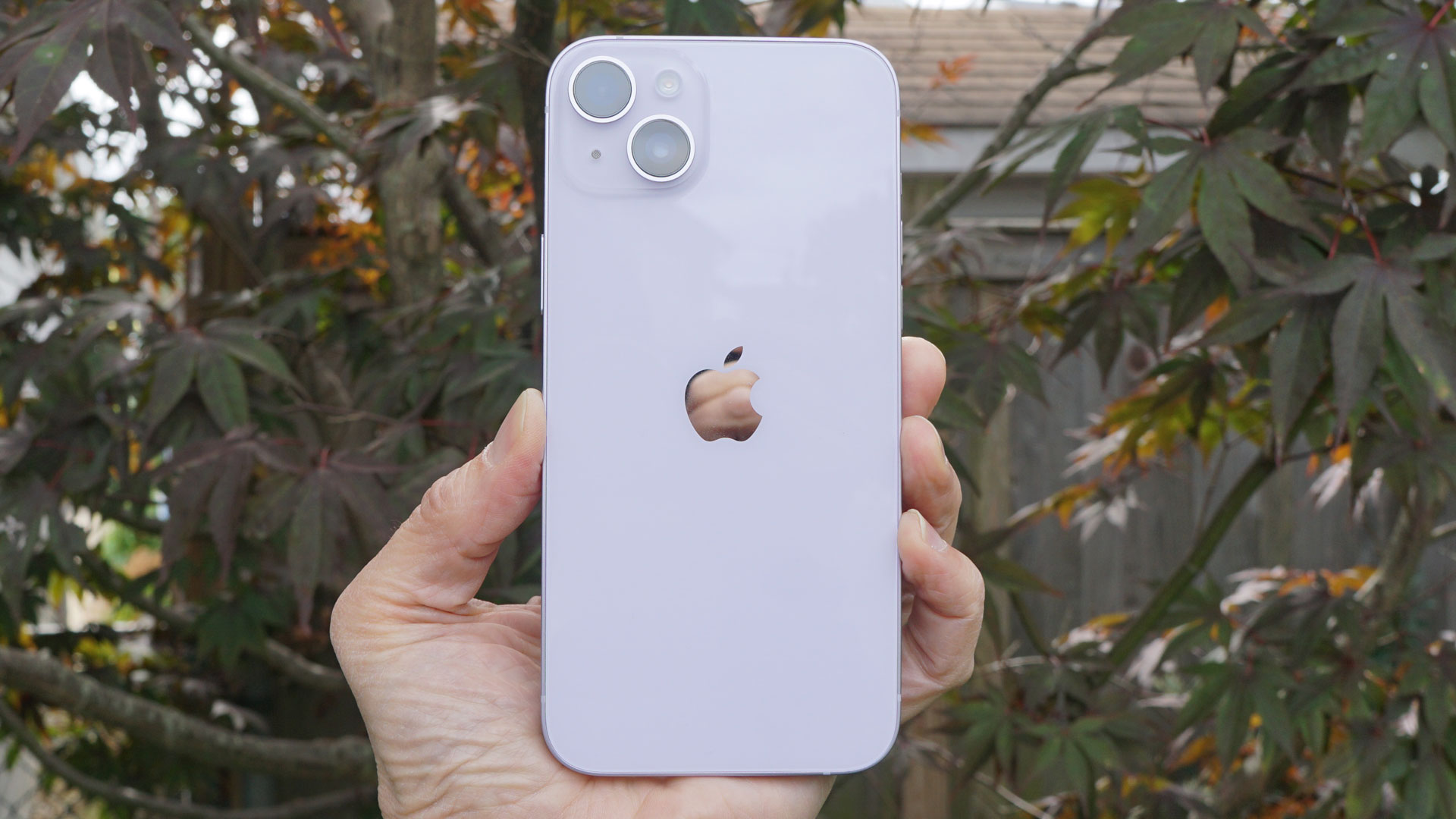Смартфоны Apple iPhone 14 2022 года: смерть Mini, Dynamic Island и спутниковая связь фото
