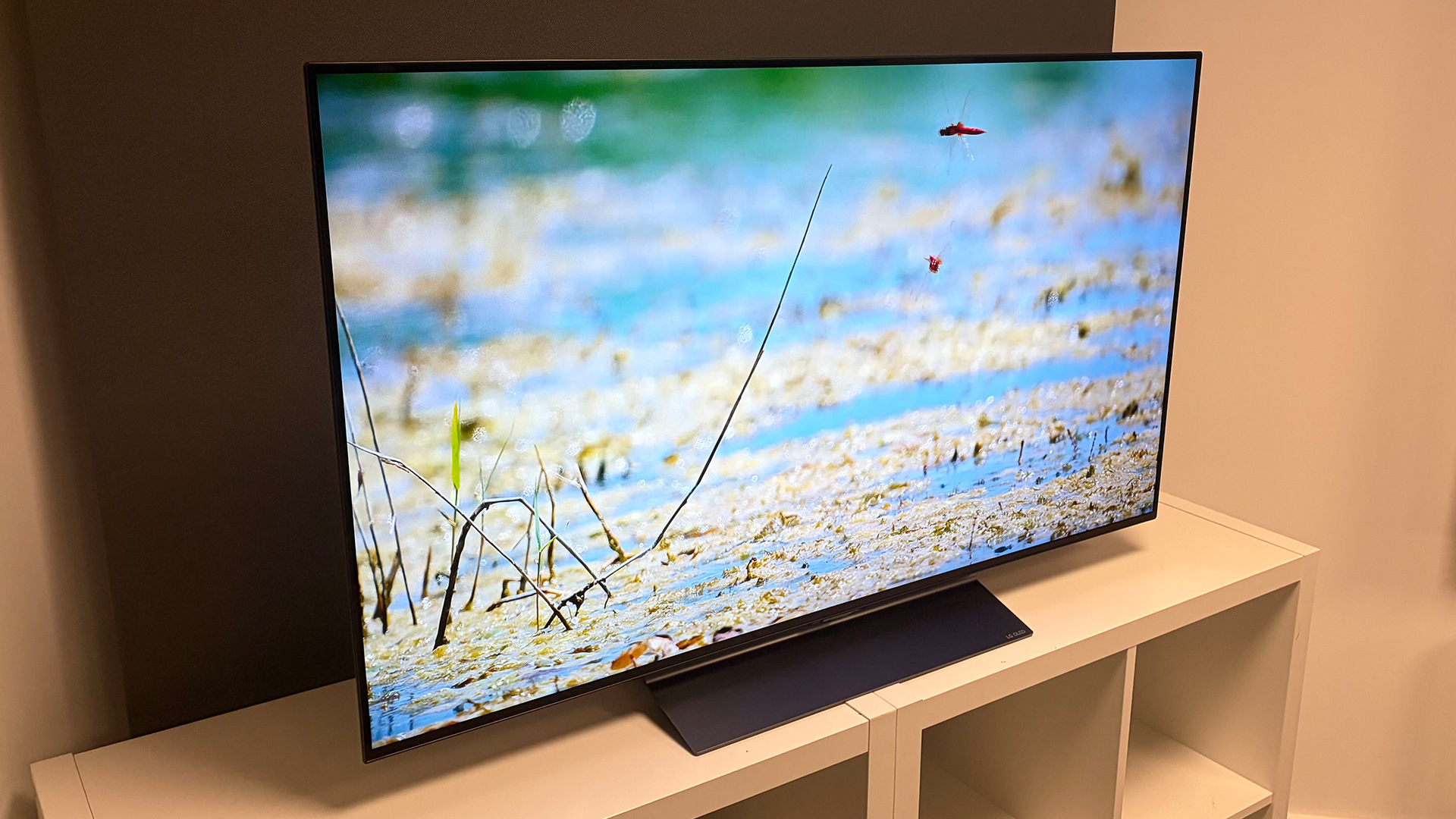 Обзор LG C6 48 дюймов или OLED48C6 картинка 48-дюймовый OLED-телевизор LG C6: обзор | DGL.RU