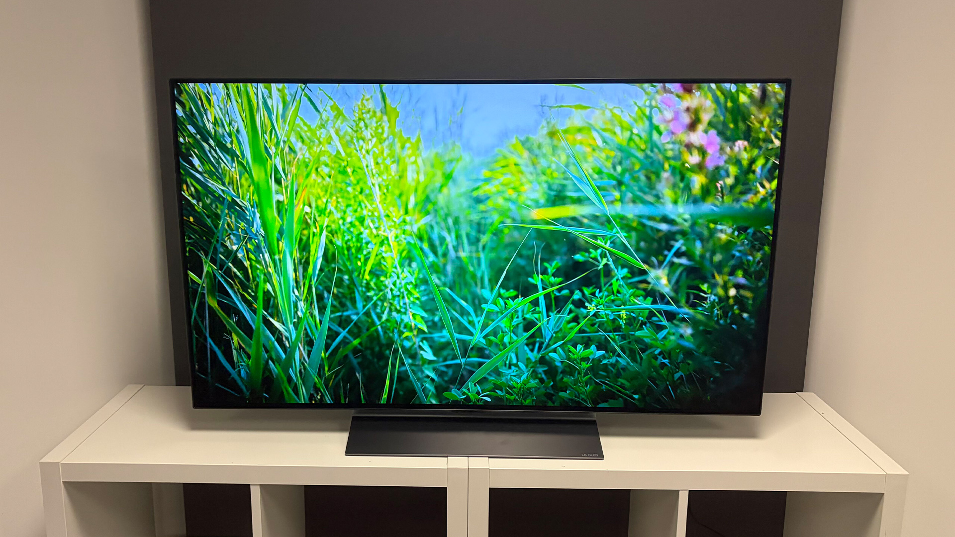 Обзор LG C6 48 дюймов или OLED48C6 картинка 48-дюймовый OLED-телевизор LG C6: обзор | DGL.RU