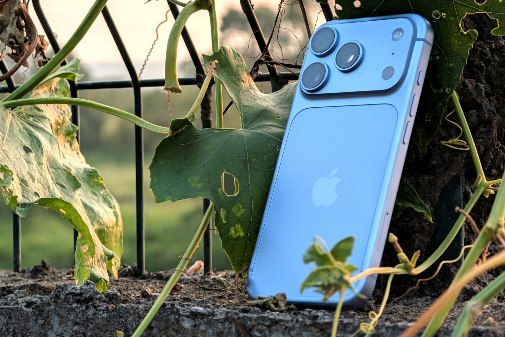 Как работает переменная диафрагма в iPhone 18 Pro: физика и практическая польза картинка Камера Apple iPhone 18 Pro: тест диафрагмы | DGL.RU