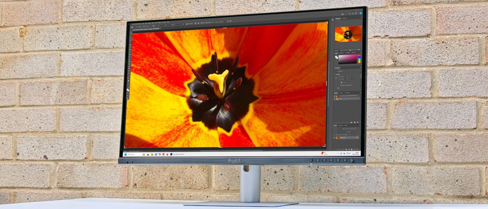 Обзор ASUS ProArt Display OLED PA279CDV — профессиональный монитор