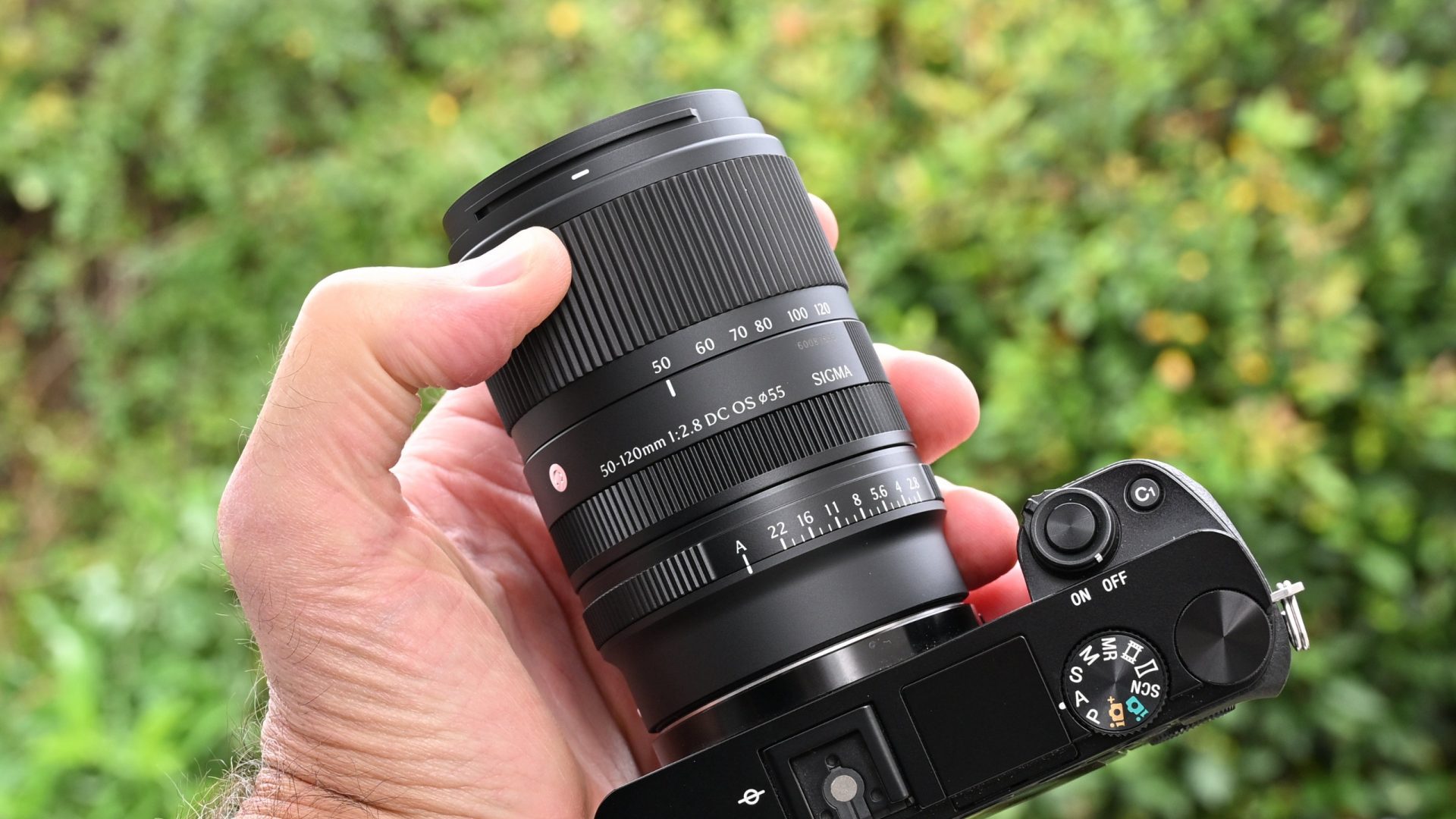 Обзор Sigma 50-120mm f/2.8 DC OS | C - чудо миниатюризации картинка Объектив Sigma 50-120mm f/2.8 DC OS | C: обзор | DGL.RU