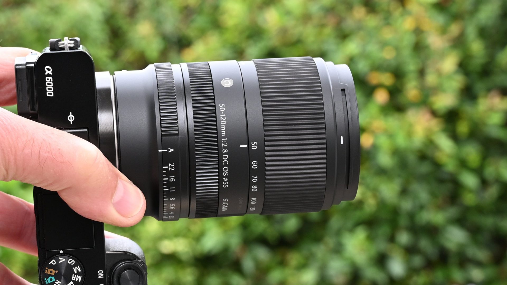 Обзор Sigma 50-120mm f/2.8 DC OS | C - чудо миниатюризации картинка Объектив Sigma 50-120mm f/2.8 DC OS | C: обзор | DGL.RU