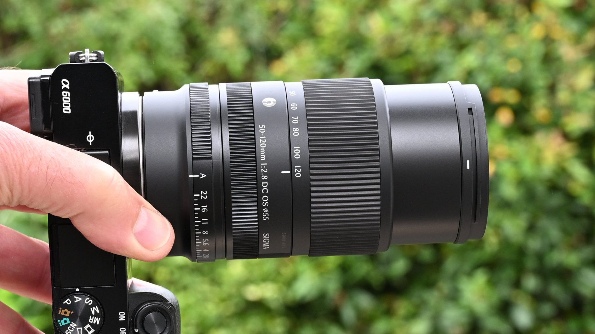 Обзор Sigma 50-120mm f/2.8 DC OS | C - чудо миниатюризации картинка Объектив Sigma 50-120mm f/2.8 DC OS | C: обзор | DGL.RU