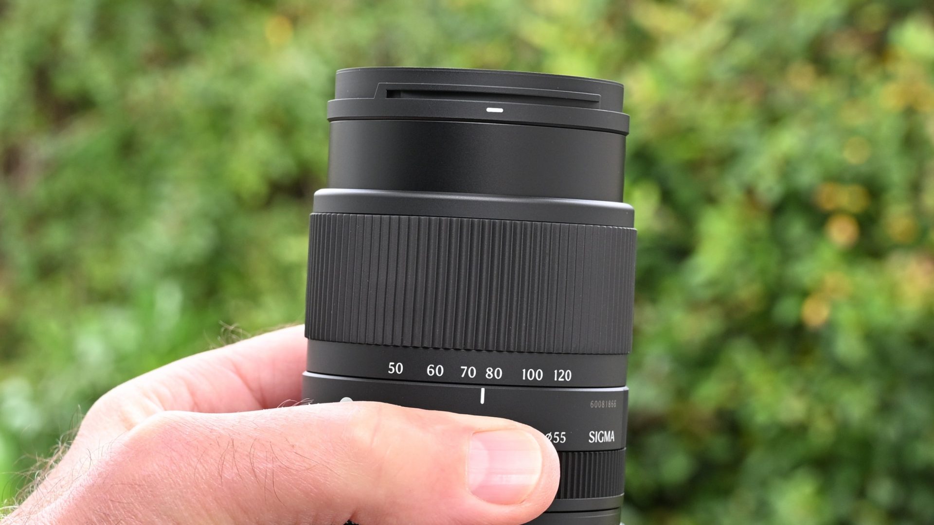 Обзор Sigma 50-120mm f/2.8 DC OS | C - чудо миниатюризации картинка Объектив Sigma 50-120mm f/2.8 DC OS | C: обзор | DGL.RU