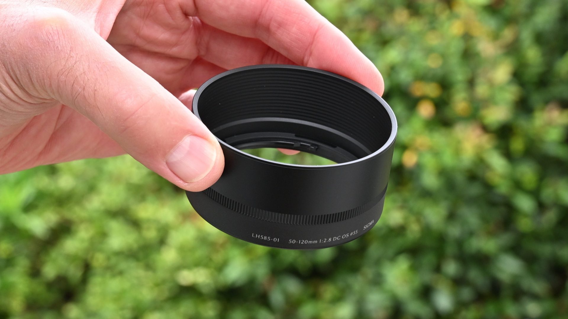 Обзор Sigma 50-120mm f/2.8 DC OS | C - чудо миниатюризации картинка Объектив Sigma 50-120mm f/2.8 DC OS | C: обзор | DGL.RU