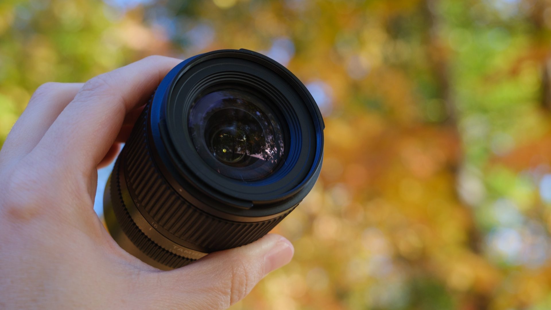 Tamron 16-50mm f/2.8: компактный объектив, который не уступает китовым картинка Объектив Tamron 16-50mm f/2.8: подробный обзор | DGL.RU