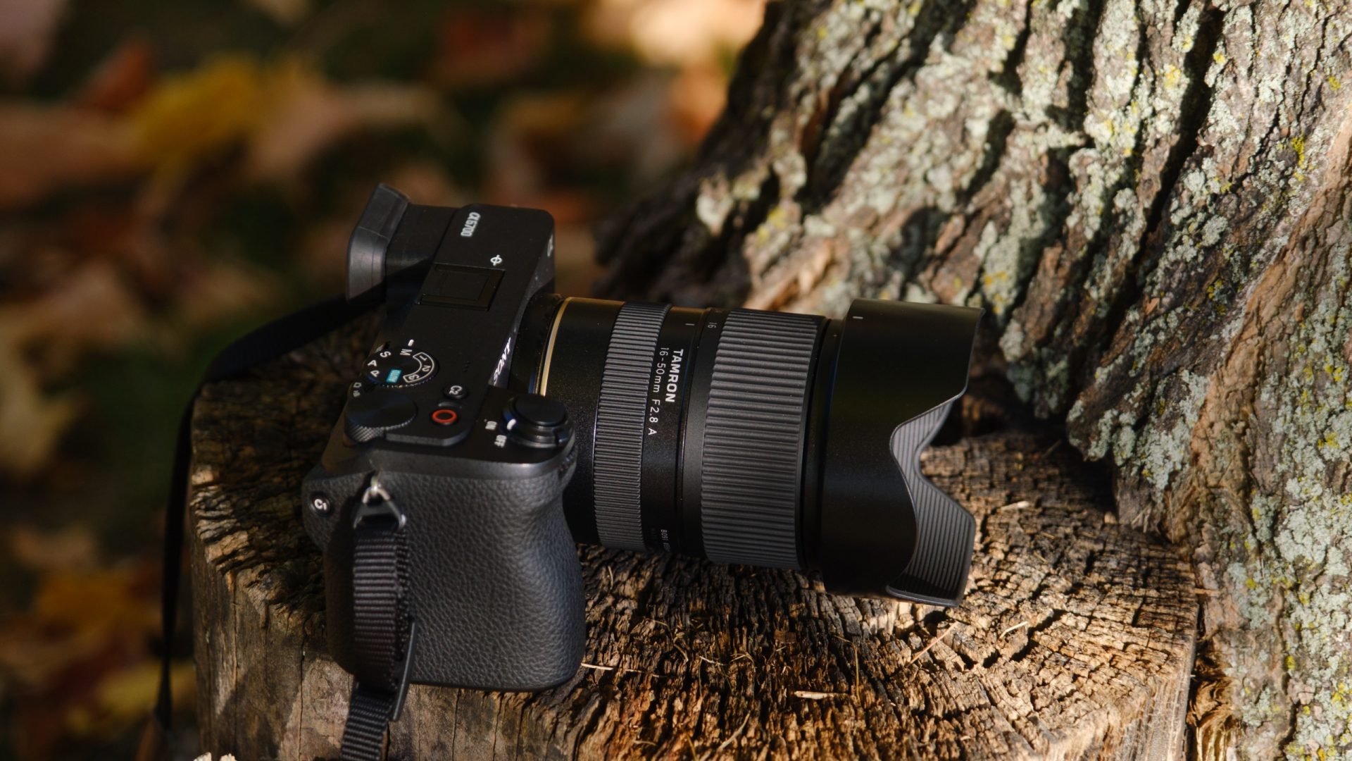 Tamron 16-50mm f/2.8: компактный объектив, который не уступает китовым картинка Объектив Tamron 16-50mm f/2.8: подробный обзор | DGL.RU