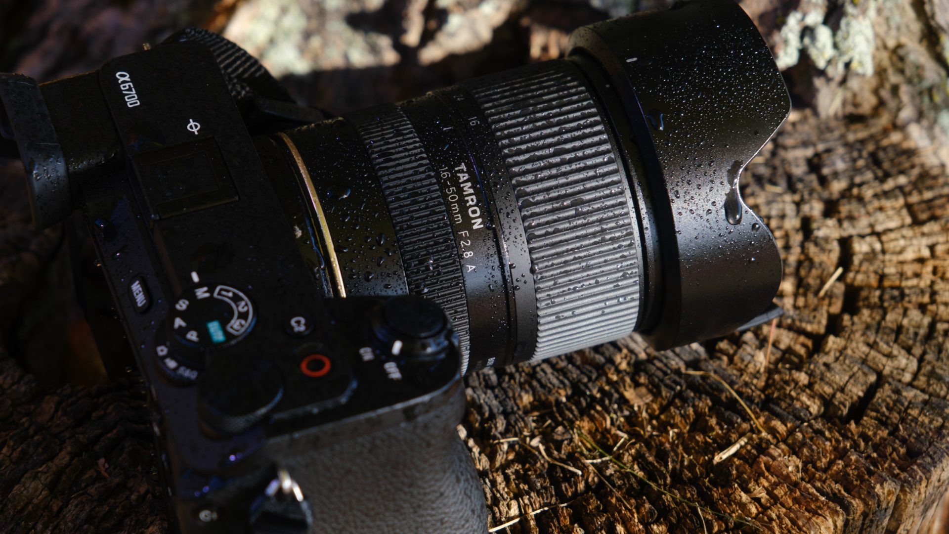 Tamron 16-50mm f/2.8: компактный объектив, который не уступает китовым картинка Объектив Tamron 16-50mm f/2.8: подробный обзор | DGL.RU