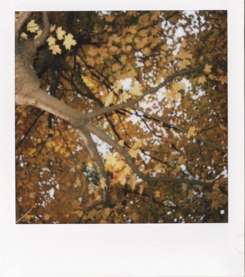 Обзор Fujifilm Instax Square 2: особенности квадратной камеры моментальной печати картинка Обзор Fujifilm Instax Square 2: плюсы и минусы | DGL.RU
