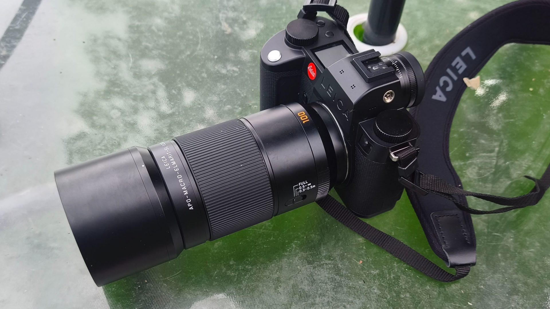 Обзор объектива Leica APO-Macro-Elmarit-SL 100mm f/2.8: универсальный макротелевик с байонетом L картинка Обзор Leica APO-Macro-Elmarit-SL 100mm f/2.8 | DGL.RU