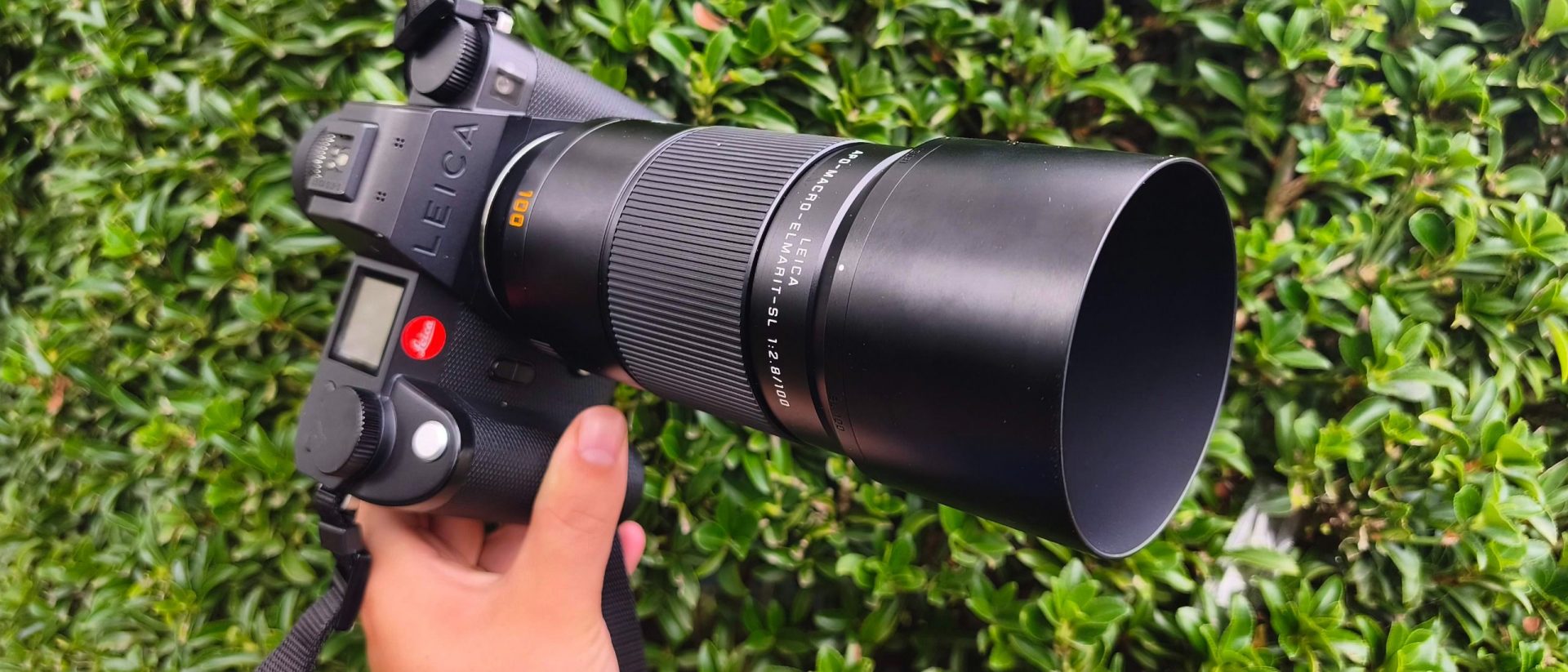 Обзор объектива Leica APO-Macro-Elmarit-SL 100mm f/2.8: универсальный макротелевик с байонетом L