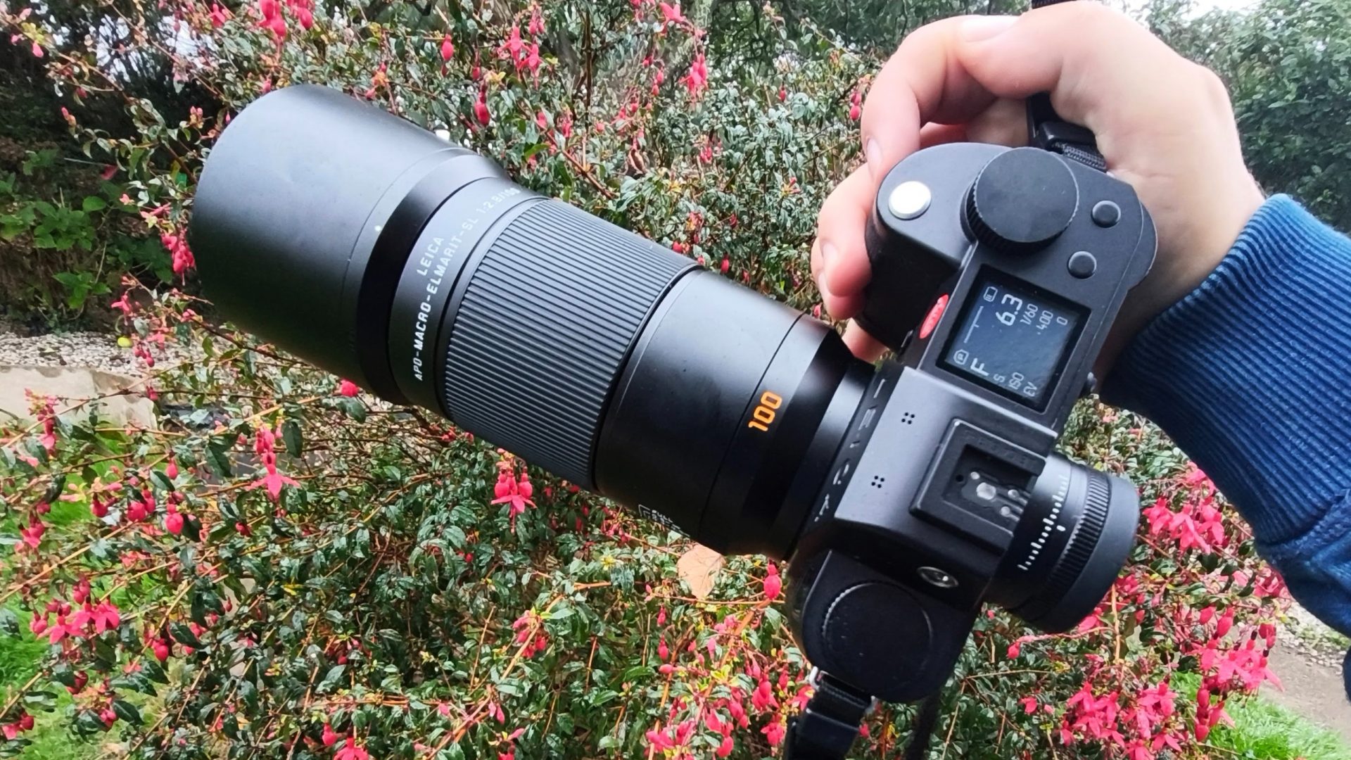 Обзор объектива Leica APO-Macro-Elmarit-SL 100mm f/2.8: универсальный макротелевик с байонетом L картинка Обзор Leica APO-Macro-Elmarit-SL 100mm f/2.8 | DGL.RU