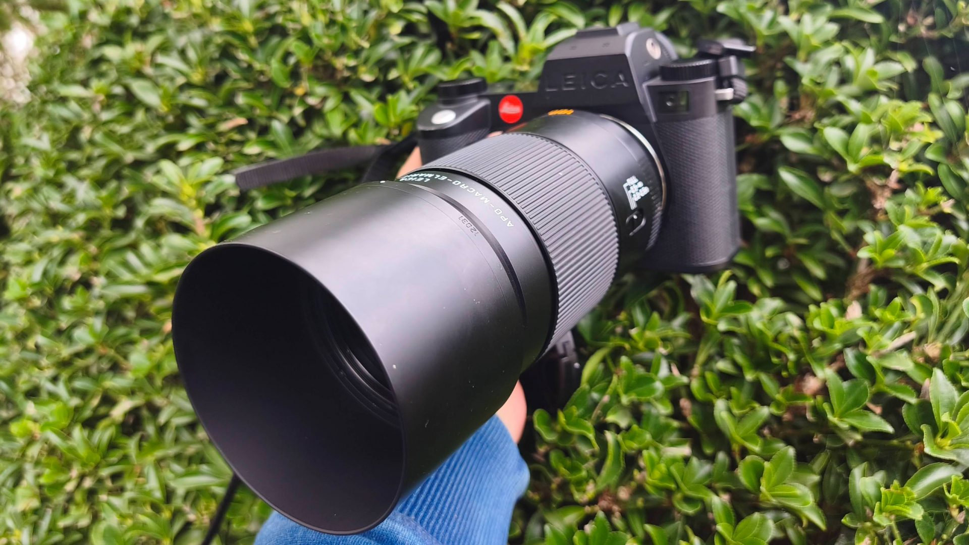 Обзор объектива Leica APO-Macro-Elmarit-SL 100mm f/2.8: универсальный макротелевик с байонетом L картинка Обзор Leica APO-Macro-Elmarit-SL 100mm f/2.8 | DGL.RU