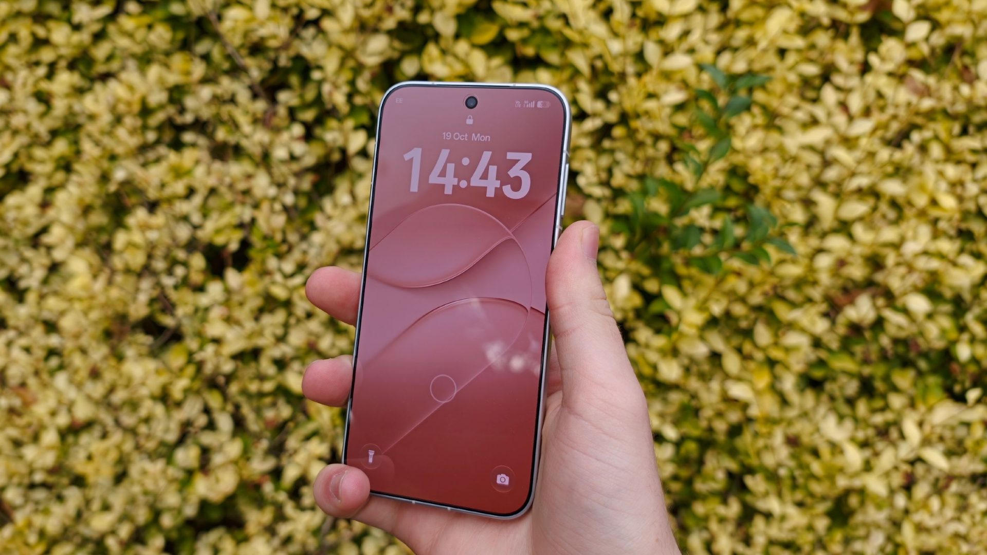 Обзор Oppo Find X10 - Pro под маской базовой модели картинка Обзор Oppo Find X10: камеры и батарея | DGL.RU