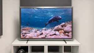 Обзор Samsung S99H (QE55S99H) — впечатляет яркостью, контрастом и сочными цветами