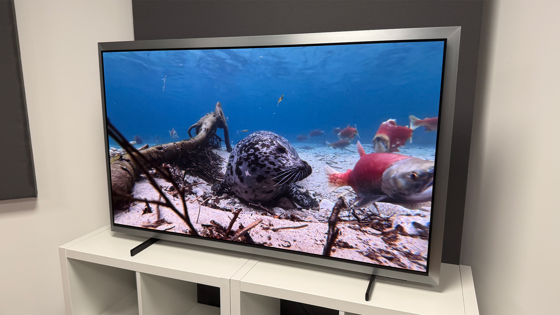 Обзор Samsung S99H (QE55S99H) - впечатляет яркостью, контрастом и сочными цветами картинка OLED-телевизор Samsung S99H: обзор флагмана | DGL.RU