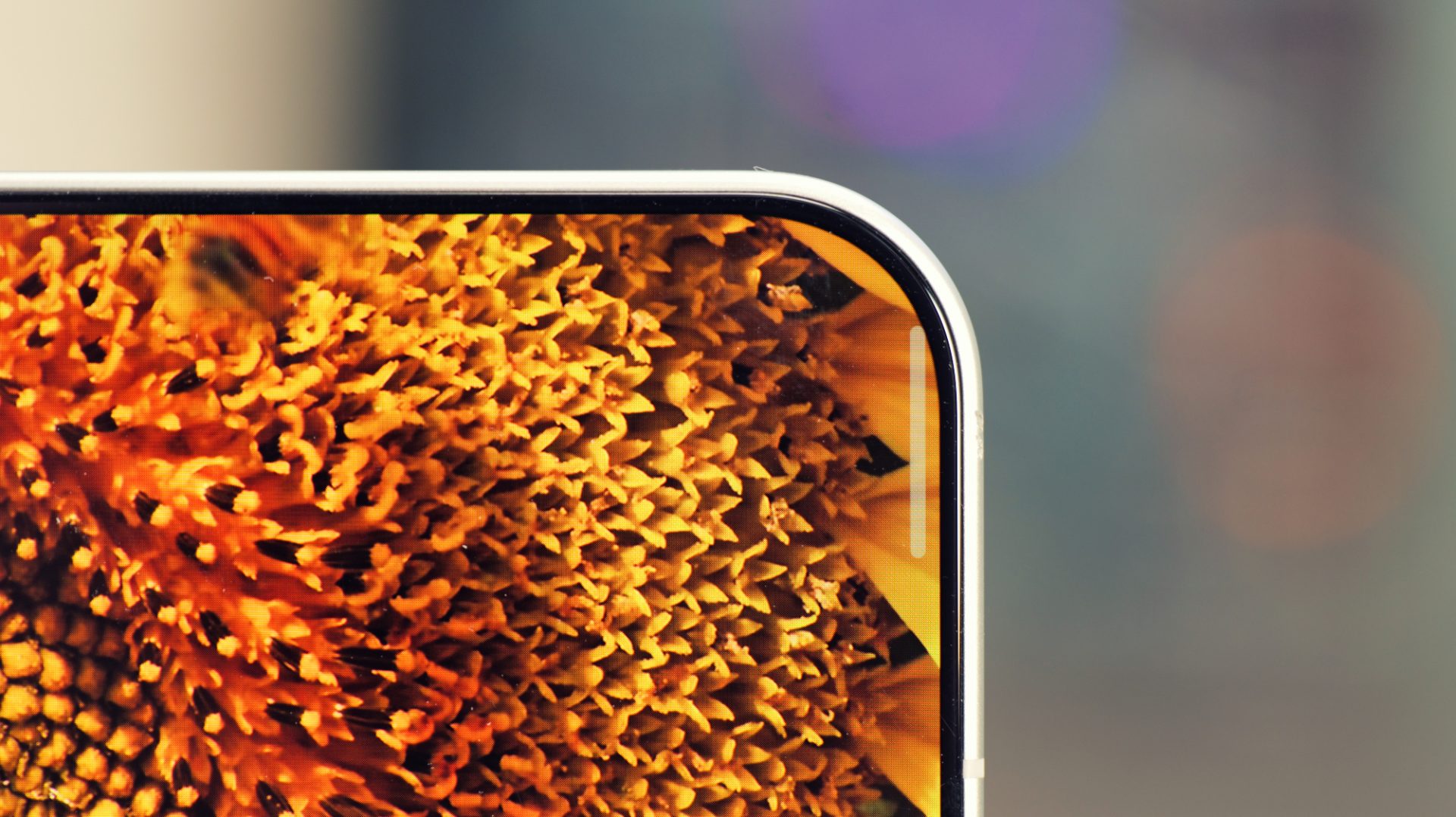 Обзор Oppo Find X10 и X10 Pro Max: три камеры по 200 Мп и заоблачная цена картинка Oppo Find X10: обзор камер и автономности | DGL.RU