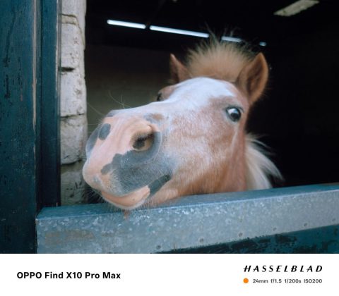 Обзор Oppo Find X10 и X10 Pro Max: три камеры по 200 Мп и заоблачная цена фото