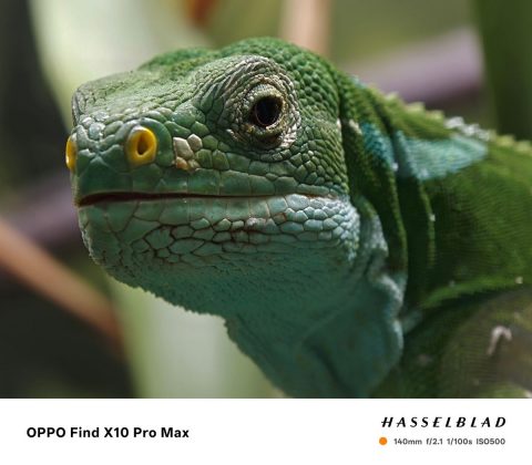 Обзор Oppo Find X10 и X10 Pro Max: три камеры по 200 Мп и заоблачная цена фото