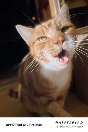 Обзор Oppo Find X10 и X10 Pro Max: три камеры по 200 Мп и заоблачная цена фото