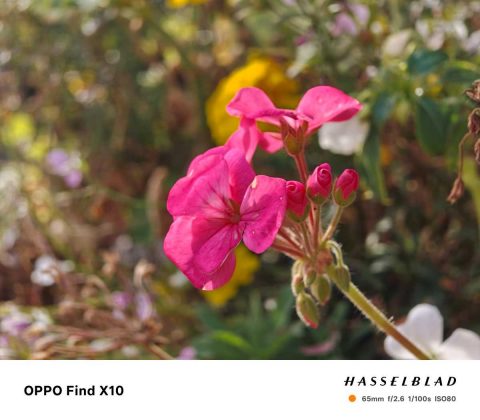 Oppo Find X10: обзор камер и автономности | DGL.RU