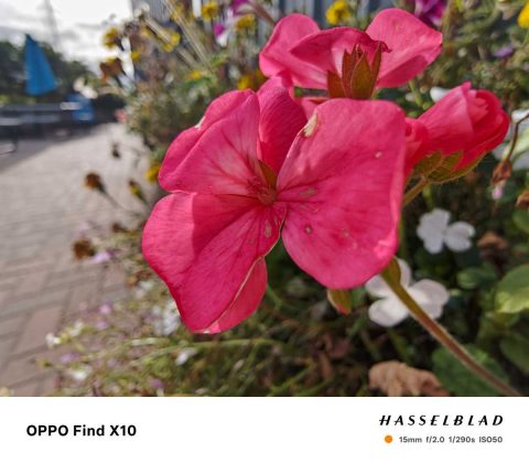 Oppo Find X10: обзор камер и автономности | DGL.RU