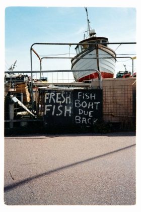 Сканер пленки Lomography DigitaLIZA Max: обзор | DGL.RU