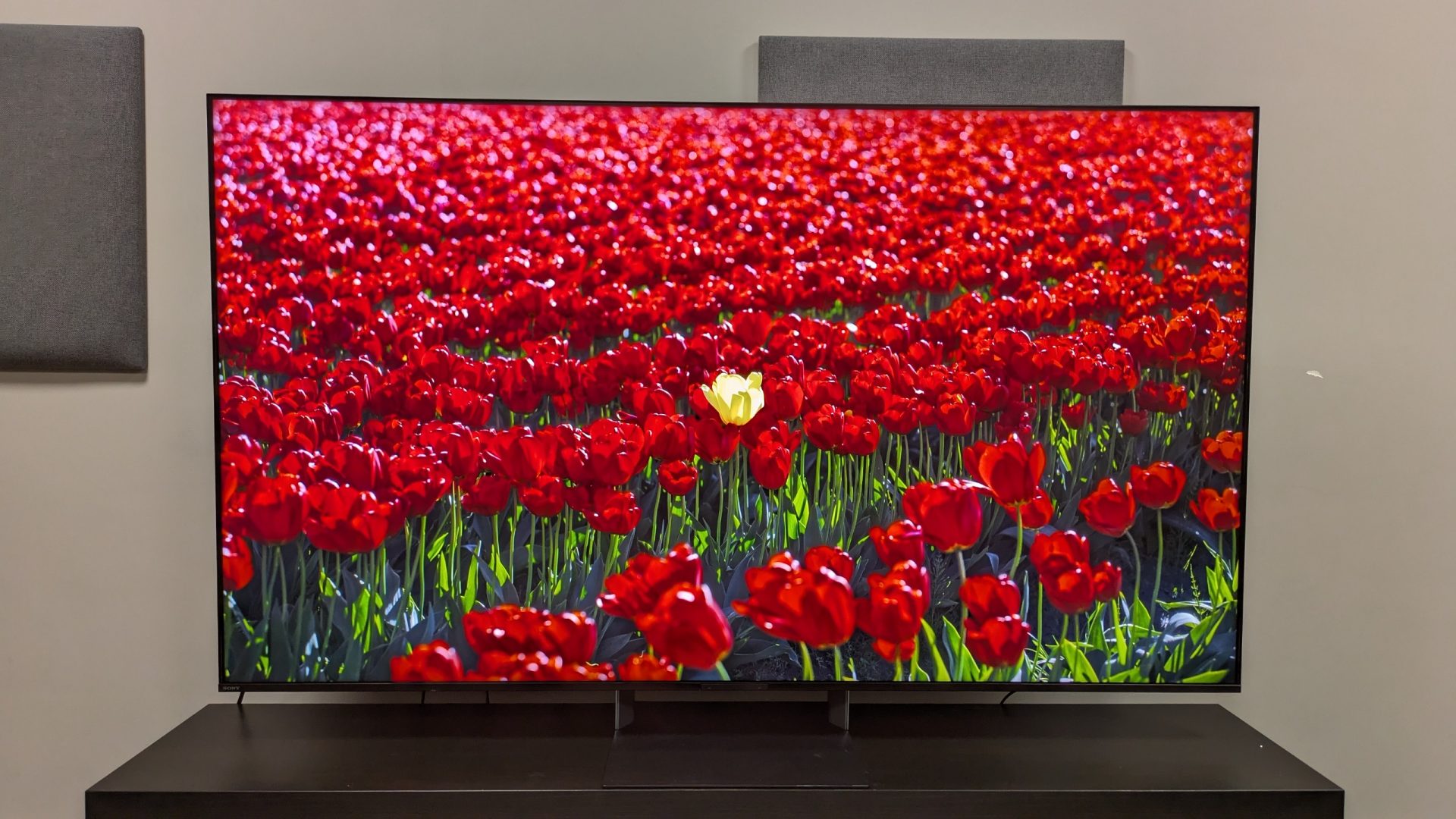 Обзор Sony Bravia 9 II - лучший мини-LED телевизор 2026 года картинка Sony Bravia 9 II: обзор RGB-телевизора | DGL.RU