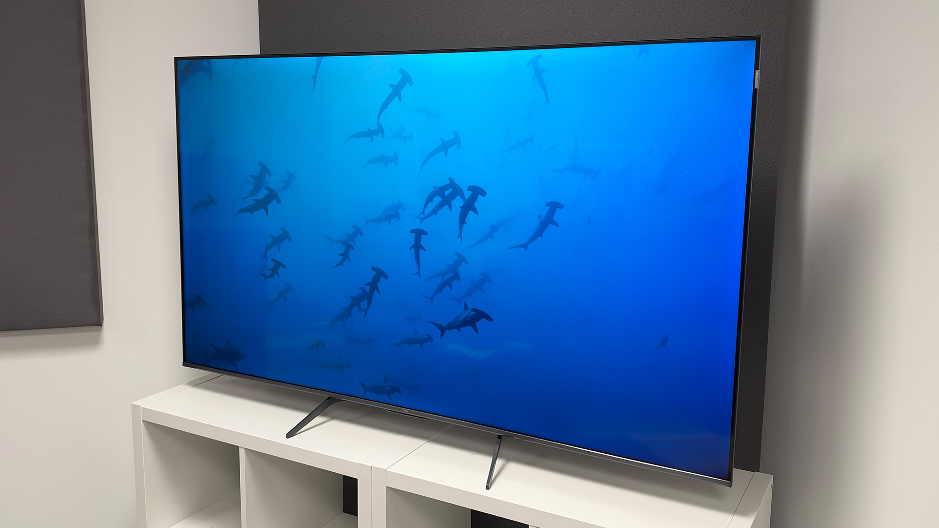 Обзор TCL P8L (65P8L-UK) - главная находка из линейки TCL 2026 года картинка Телевизор TCL P8L: обзор Mini LED-модели | DGL.RU