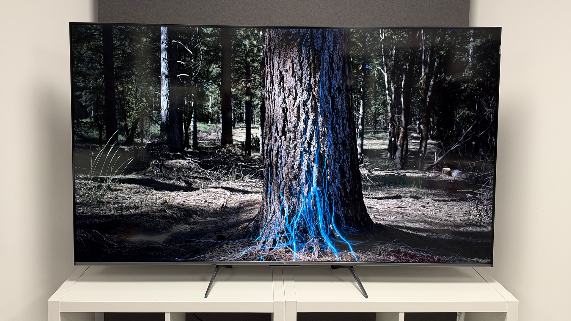 Обзор TCL P8L (65P8L-UK) - главная находка из линейки TCL 2026 года картинка Телевизор TCL P8L: обзор Mini LED-модели | DGL.RU