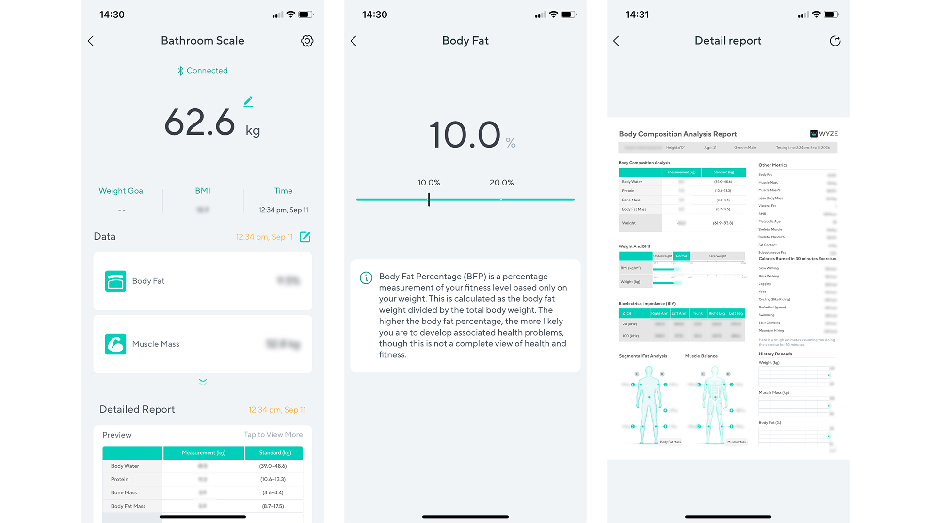 Обзор Wyze BodyScan - переосмысливают возможности бюджетного сегмента картинка Умные весы Wyze BodyScan: обзор и тест | DGL.RU